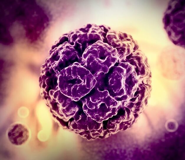 HPV(인간 유두종 바이러스)의 3D 모델